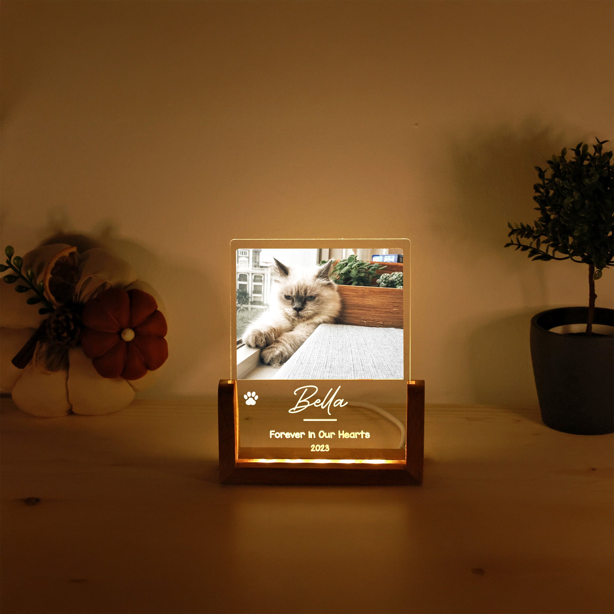 KİŞİYE ÖZEL EVCİL HAYVAN ANI LED GECE LAMBASI