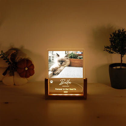 KİŞİYE ÖZEL EVCİL HAYVAN ANI LED GECE LAMBASI