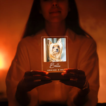 KİŞİYE ÖZEL LED IŞIKLI EVCİL HAYVAN ANI GECE LAMBASI