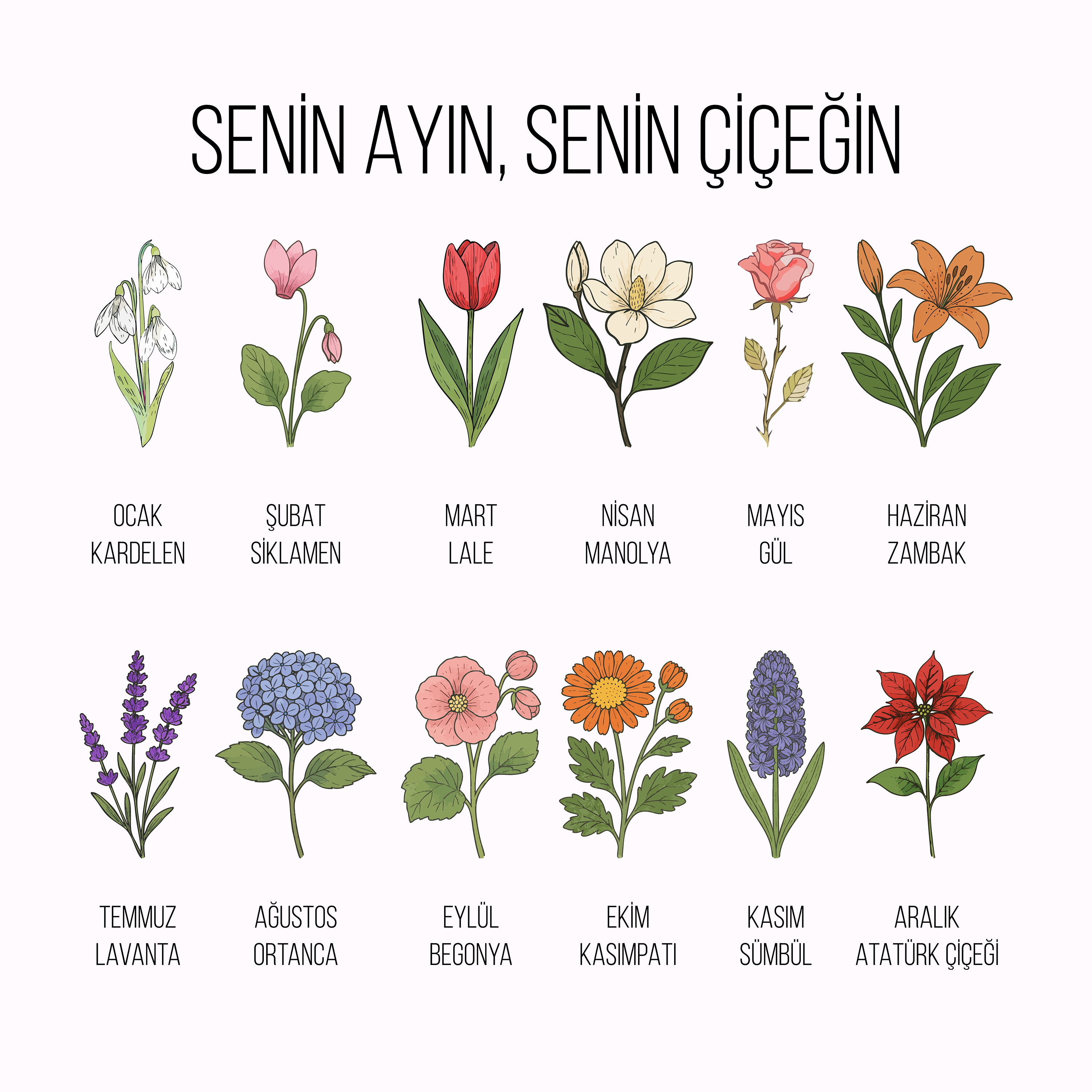 ALFAMA | Özelleştirilebilir Saksı